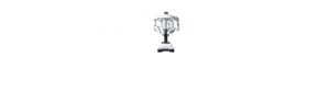 Dr. Gabriel Arevalo Logo